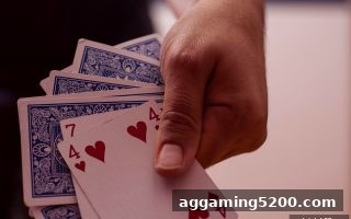 ag电子俱乐部独家剖析：用USDT充值番摊游戏，掌握理性博弈的艺术