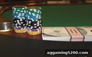 银发族专属娱乐新体验：ag电子俱乐部教你甄选靠谱棋牌平台
