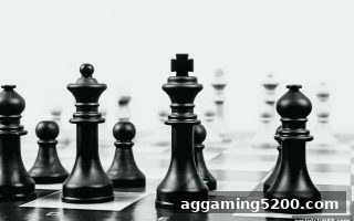 ag电子俱乐部深度解析：飞禽走兽掼蛋的牌型逻辑与实战进阶指南