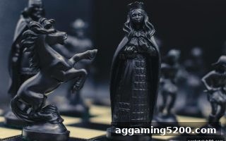 ag电子俱乐部带你入门：龙虎斗与桥牌全攻略