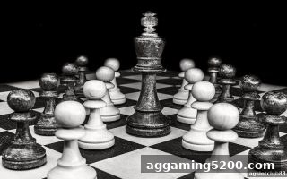ag电子俱乐部视角下国际象棋社区的演变与生态构建