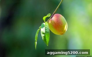 初次充值福利：ag电子俱乐部带你搞懂大乐透首存优惠