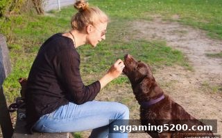 澳门数字号码赔率深度解析｜ag电子俱乐部教你适配个人玩法风格