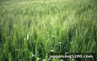 ag电子俱乐部深度解读：Pragmatic Live 电子游艺 RTP 数据的全方位剖析