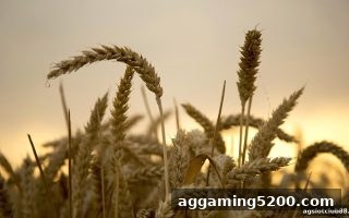 泰达币注册即拿积分福利全指南——ag电子俱乐部带你玩转奖励