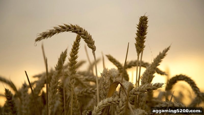泰达币注册即拿积分福利全指南——ag电子俱乐部带你玩转奖励