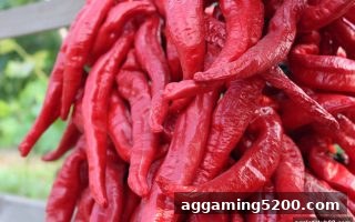 ag电子俱乐部揭秘洗码返佣：资深玩家专属的体育竞技平台收益攻略