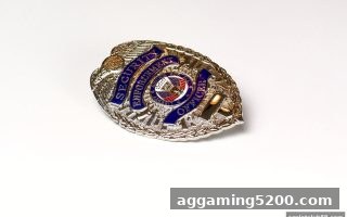 ag电子俱乐部权威指南：2026年网络娱乐平台安全性测评进阶策略