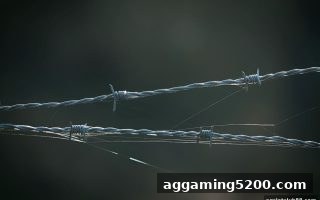 ag电子俱乐部精讲：波胆玩法从本质到实战的全维度风险防控与操作指南