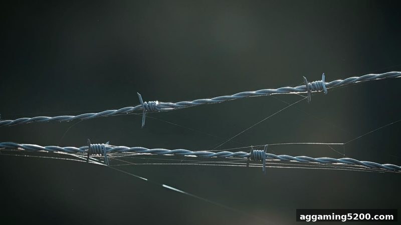ag电子俱乐部精讲：波胆玩法从本质到实战的全维度风险防控与操作指南