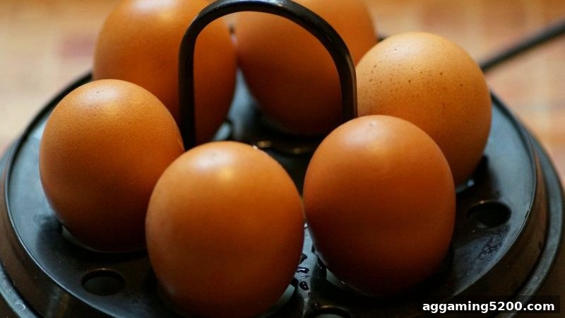 ag电子俱乐部视角下的BBIN真人捕鱼游戏：生态架构、玩家演化与理性参与指南