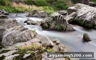 英超赛季深度解读：ag电子俱乐部带你看尽竞技风云与前程展望