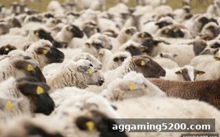 ag电子俱乐部深度解读：足球赛事即时更新平台的最低提款额度如何影响你的资金策略
